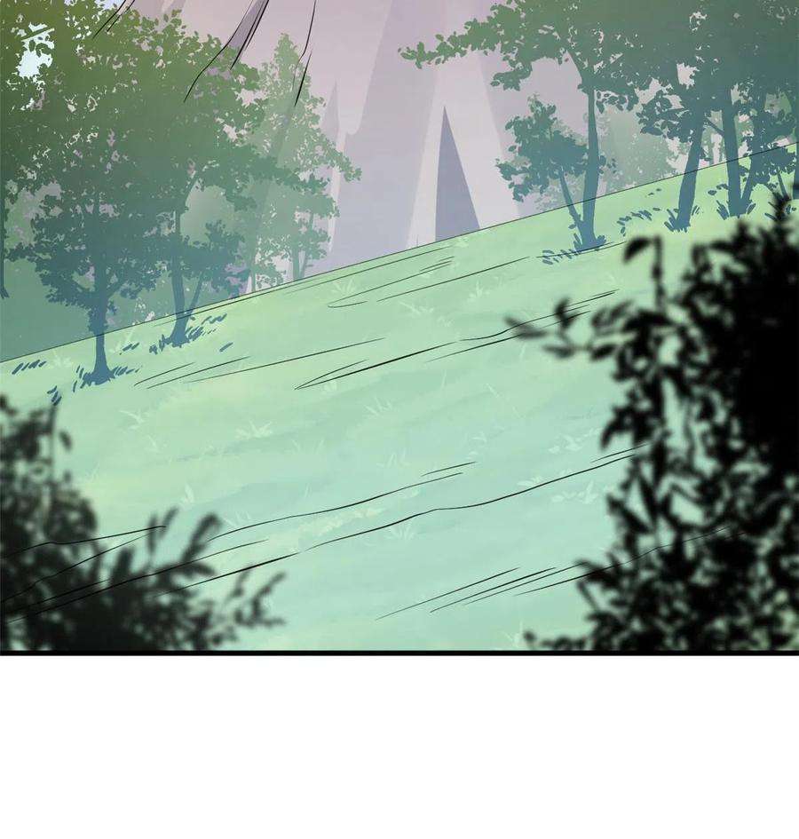 毒步天下：特工神医小兽妃359