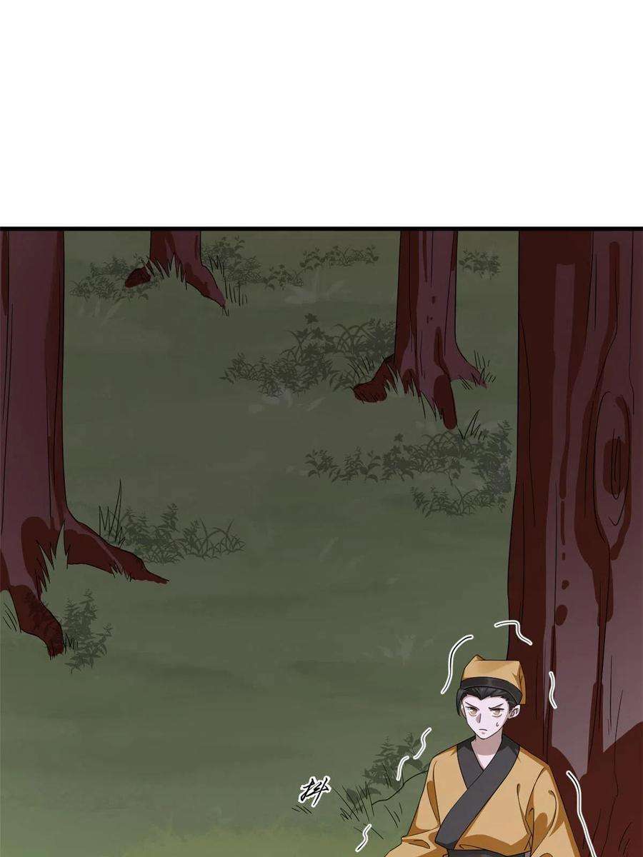 毒步天下：特工神医小兽妃360