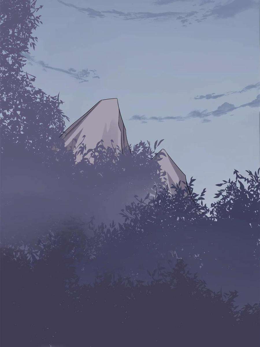 毒步天下：特工神医小兽妃362