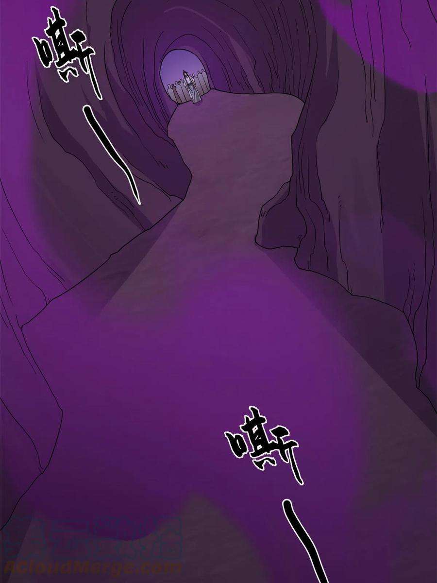 毒步天下：特工神医小兽妃363