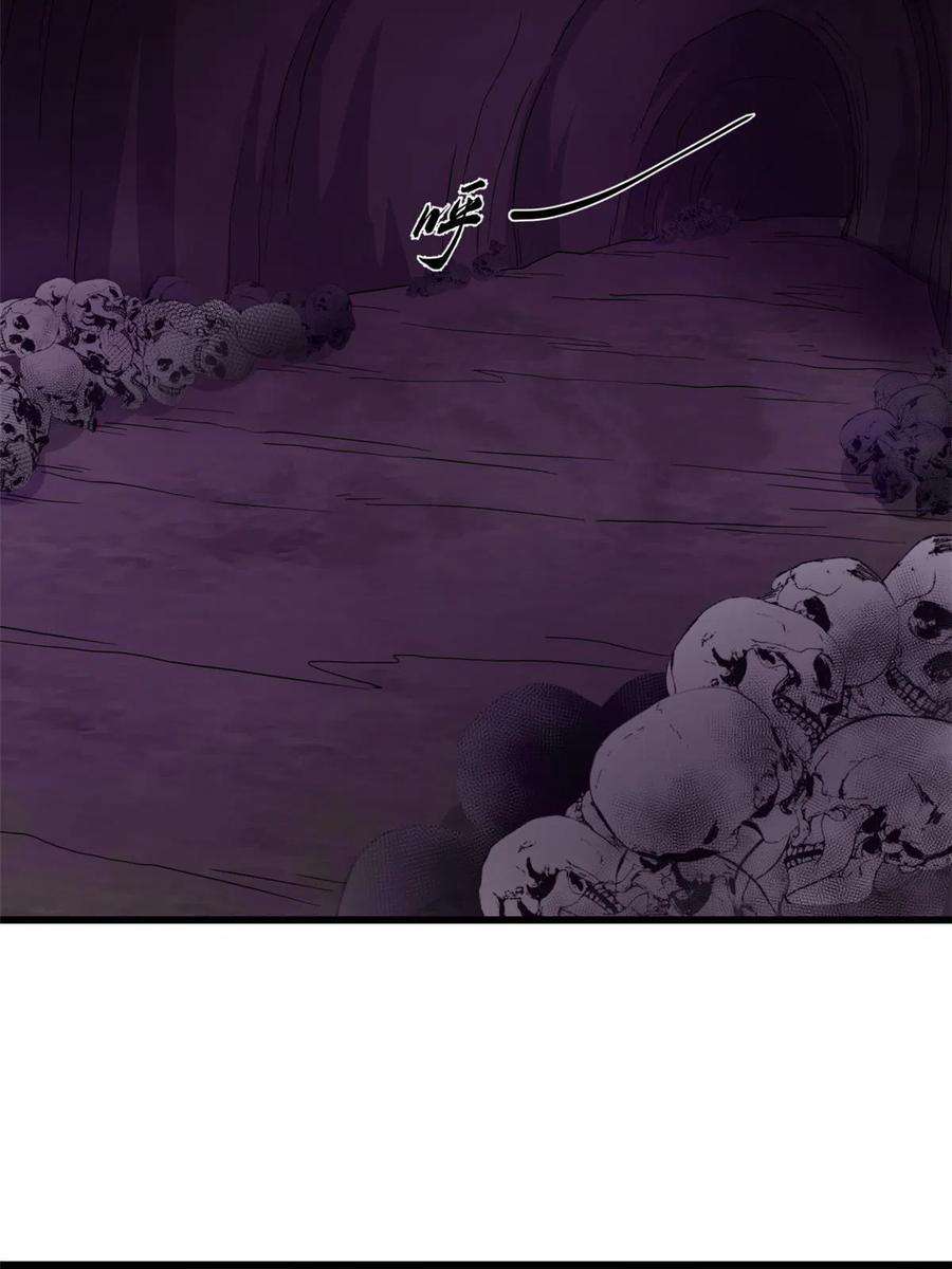 毒步天下：特工神医小兽妃364