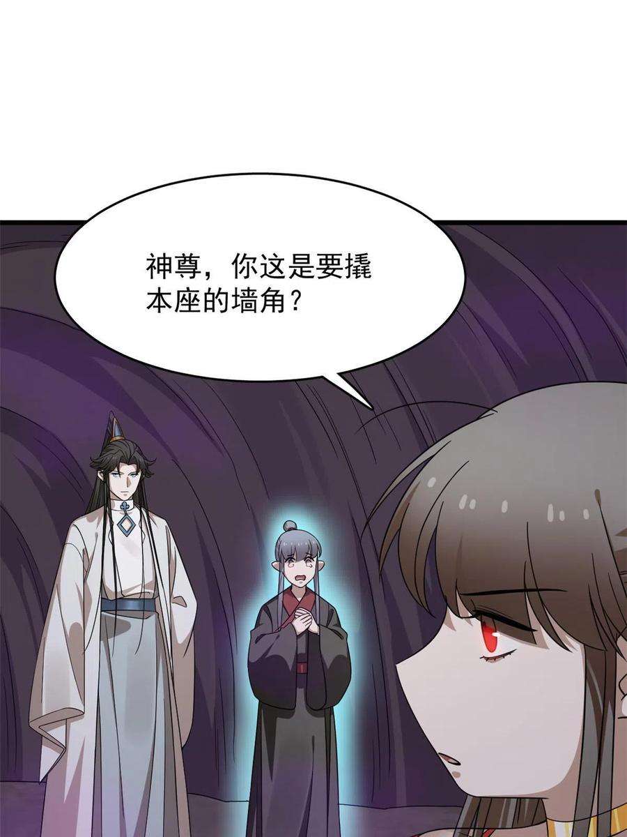 毒步天下：特工神医小兽妃365