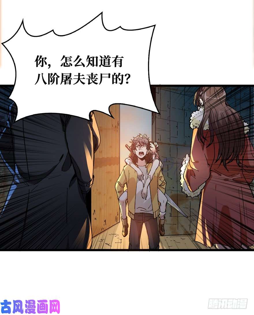 重回末世当大佬涅槃重生！