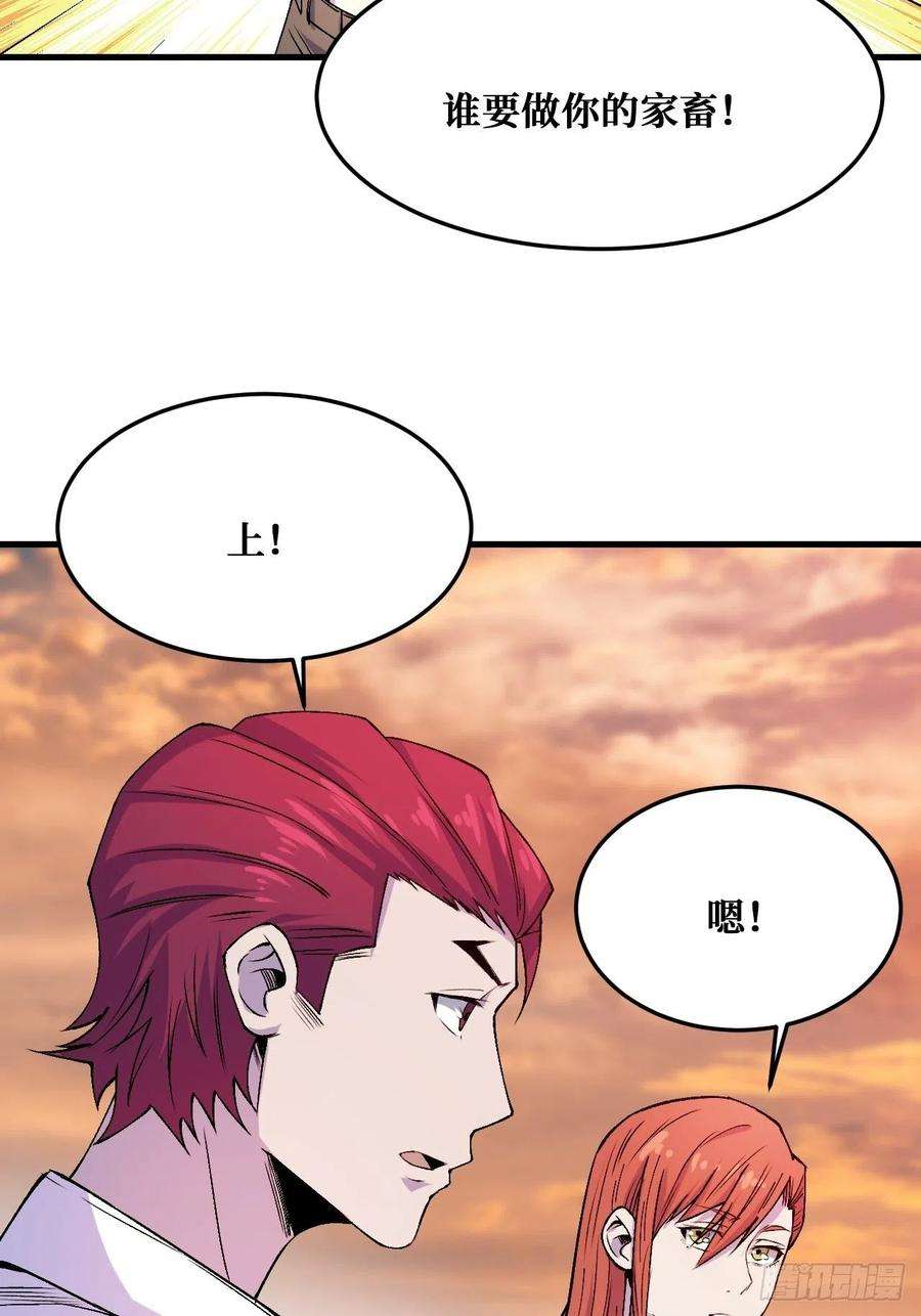重回末世当大佬理解与分析