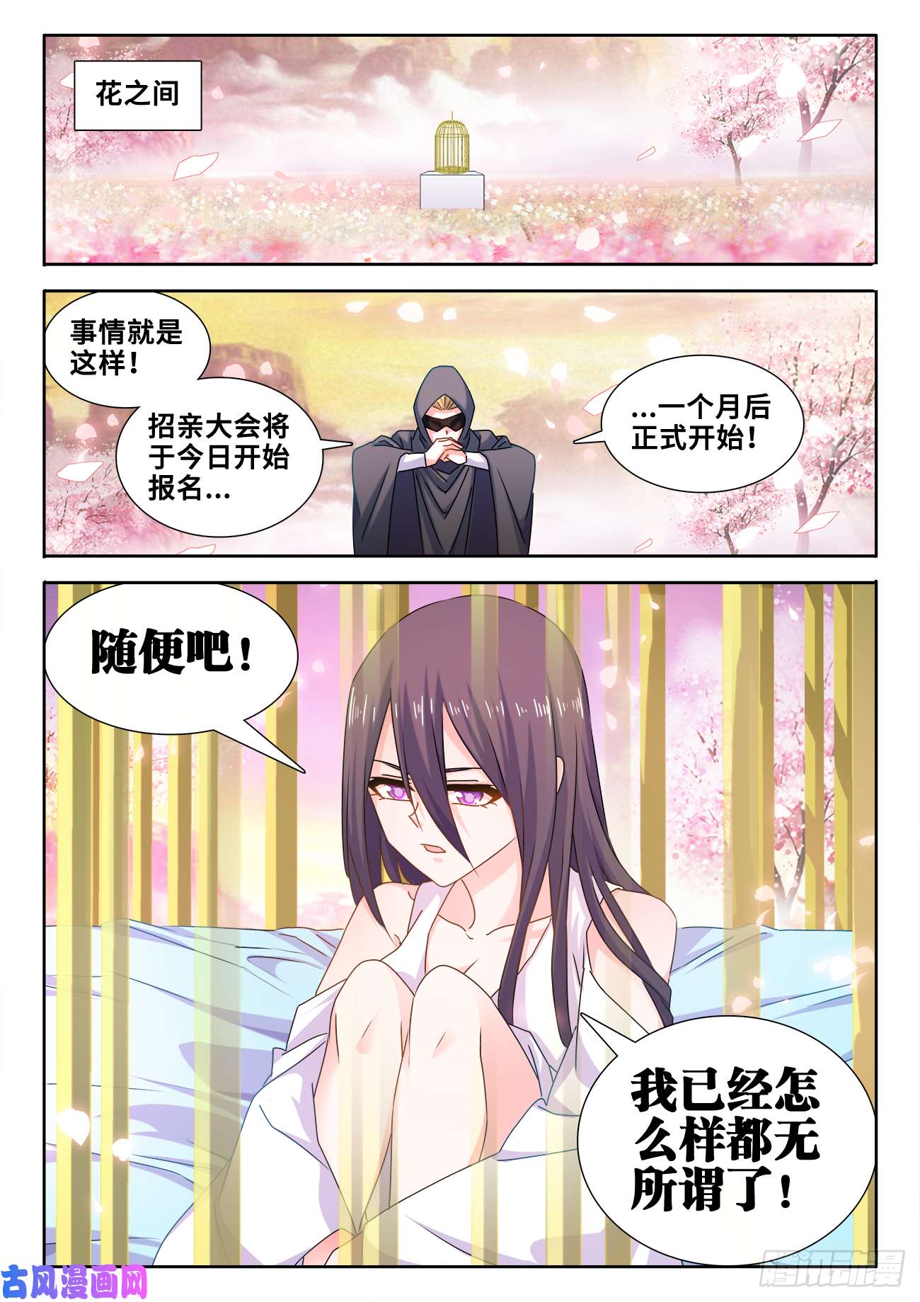 我的天劫女友583、招亲