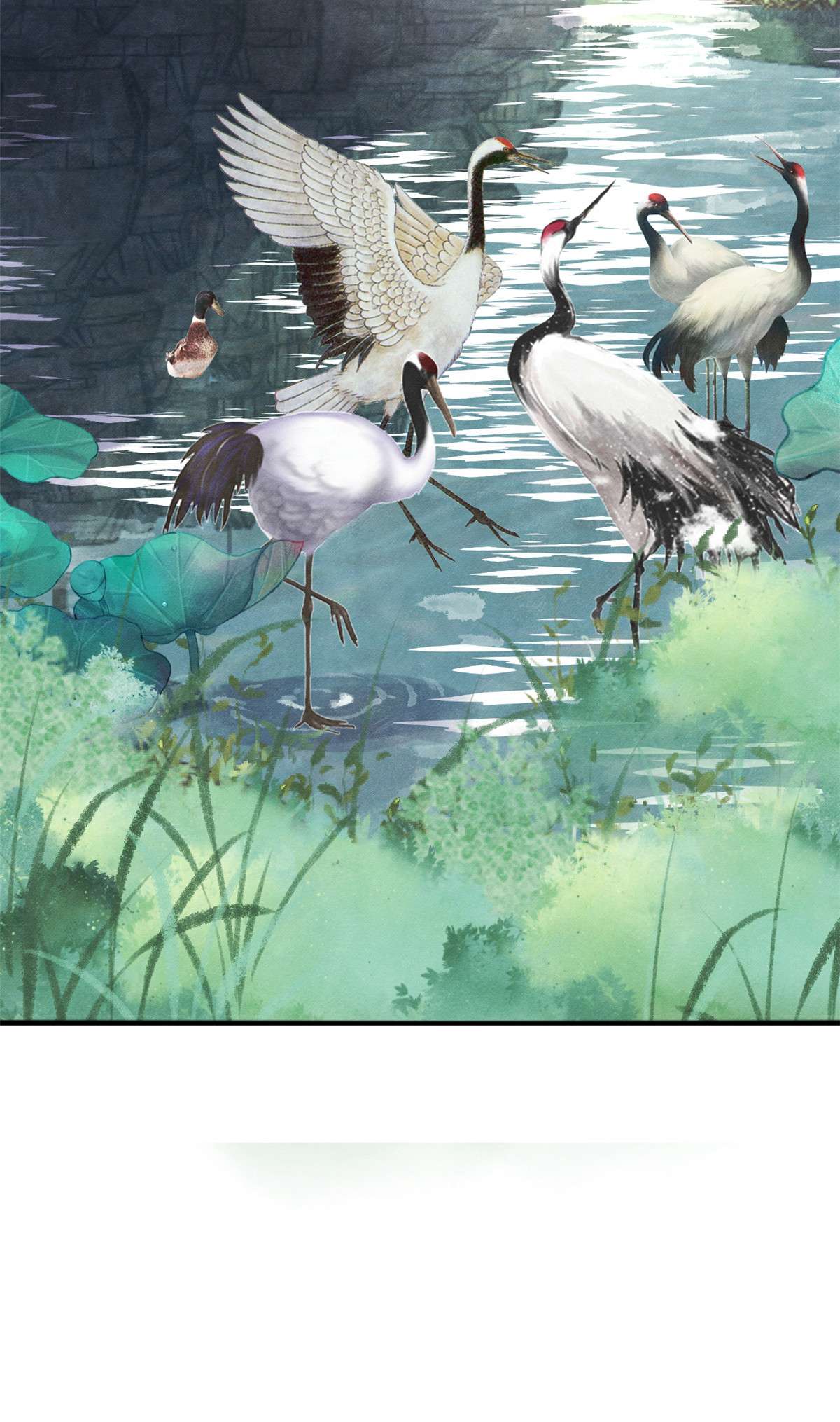 糟糕，又被病娇盯上了！13 花神前夕的书信