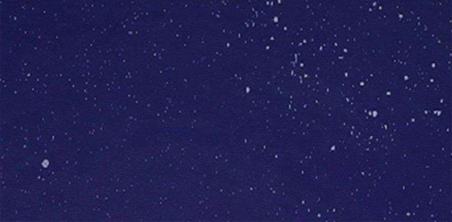 糟糕，又被病娇盯上了！57话 什么？裴道珠私奔了？