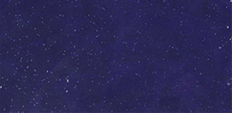 糟糕，又被病娇盯上了！75话 建安公主？