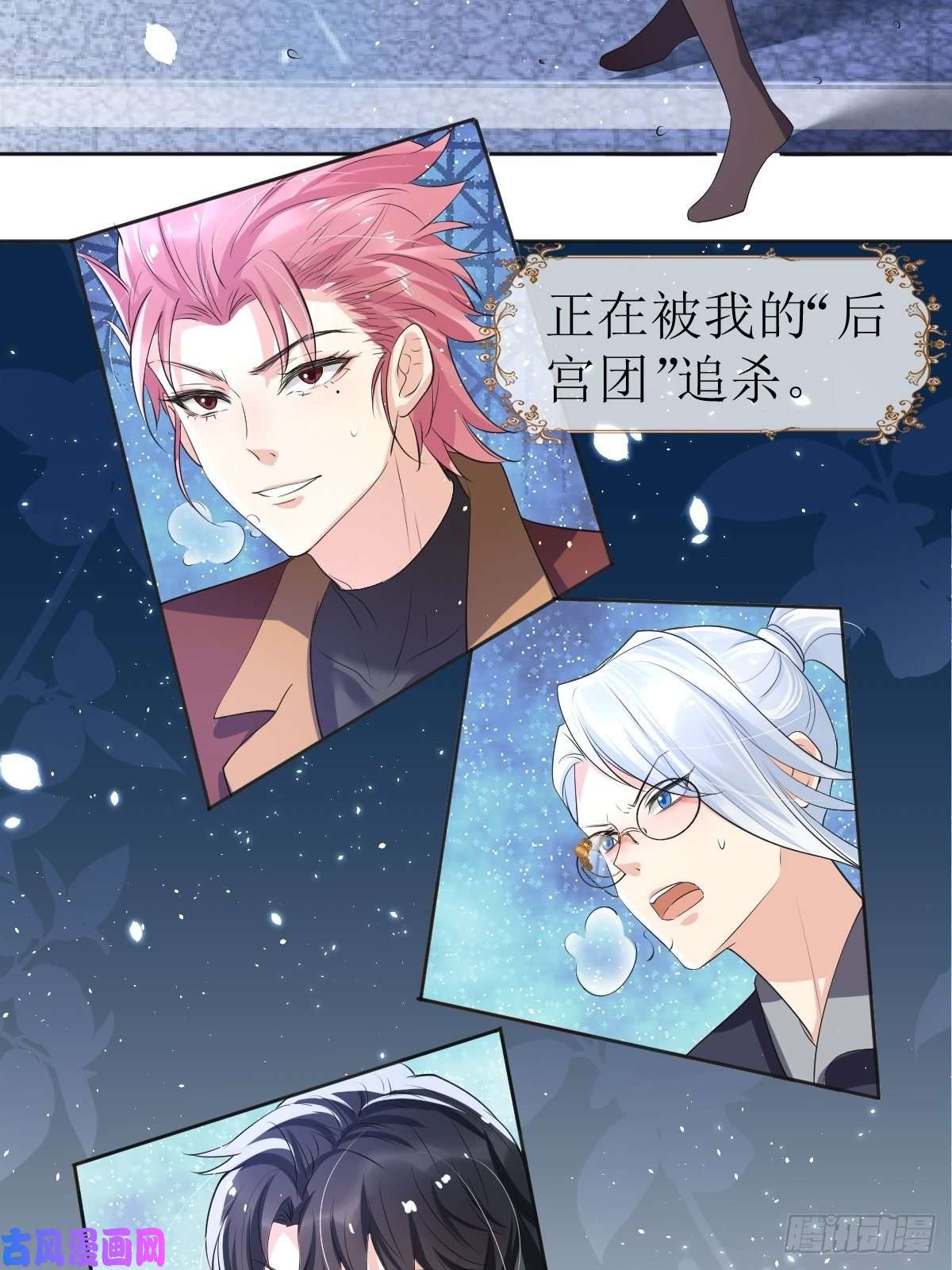 塞壬娜的定制人生被“后宫团”追杀的魔女