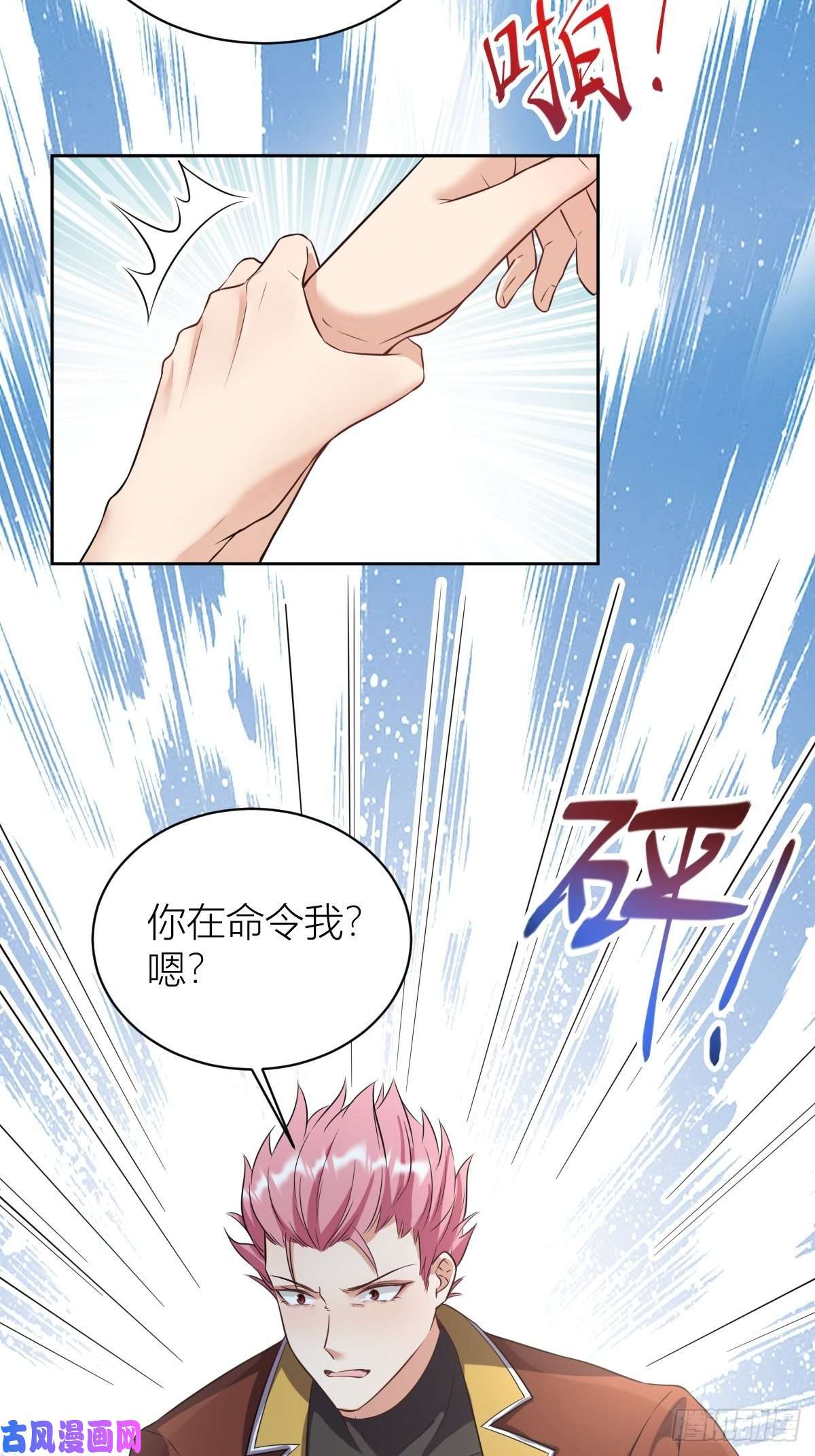塞壬娜的定制人生10：骑士长的爱好