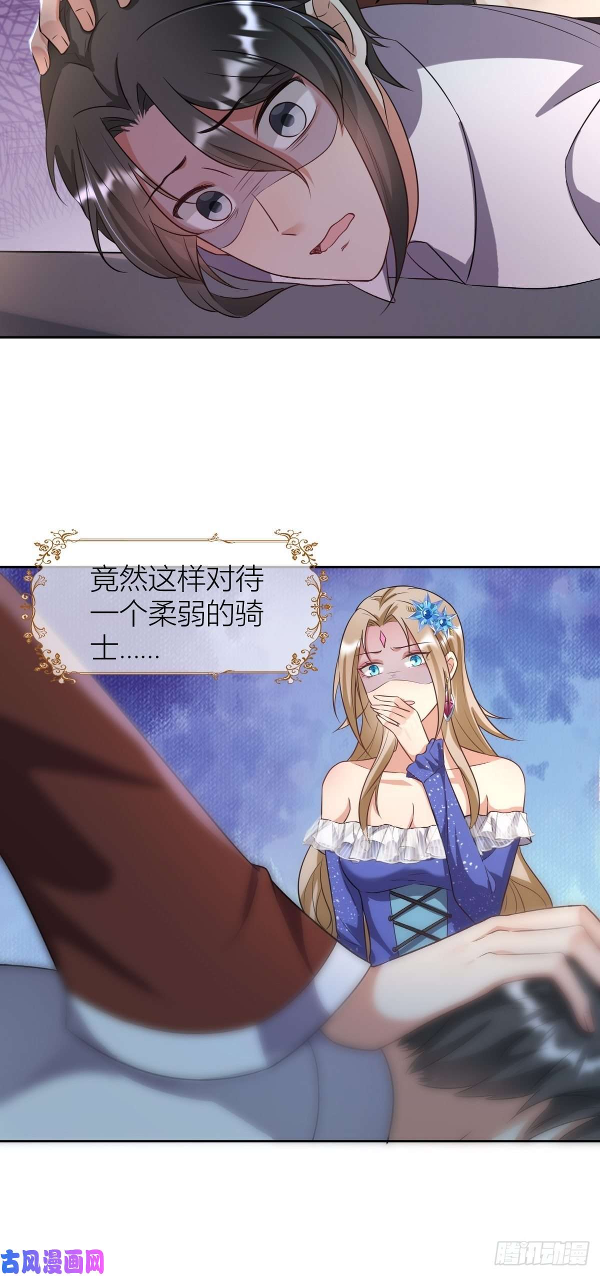 塞壬娜的定制人生10：骑士长的爱好
