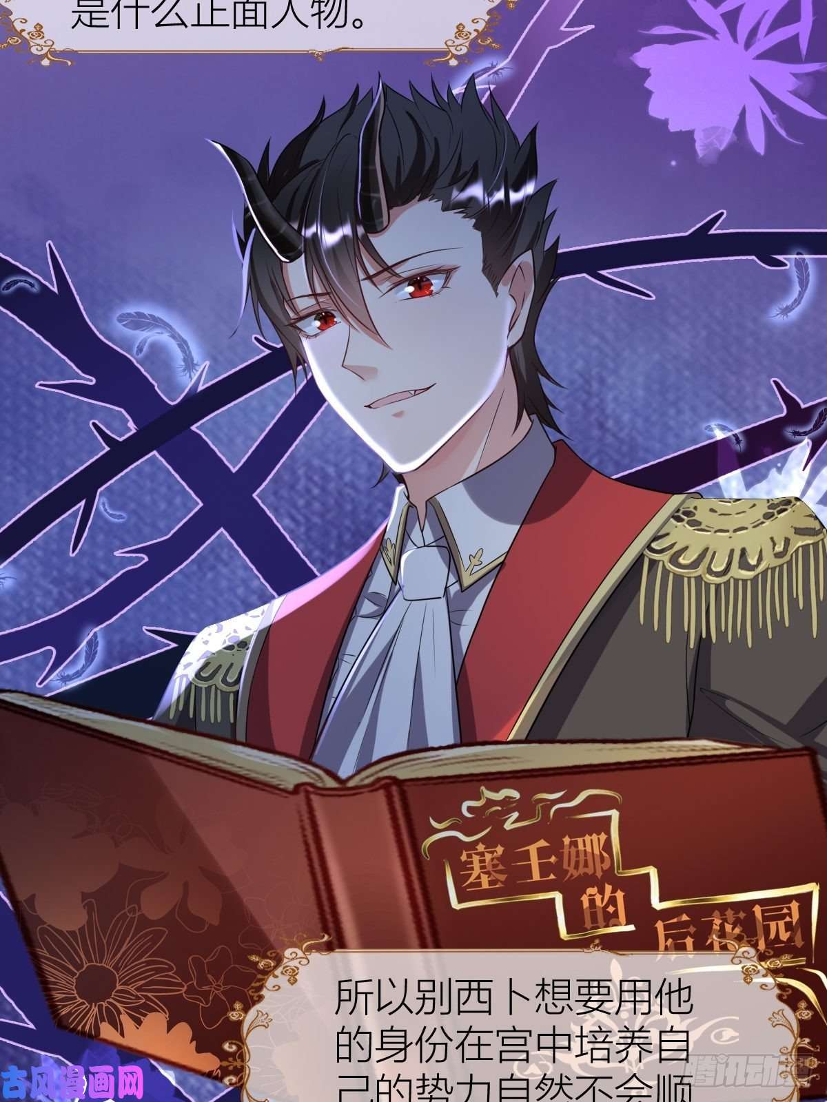 塞壬娜的定制人生11： 守护骑士