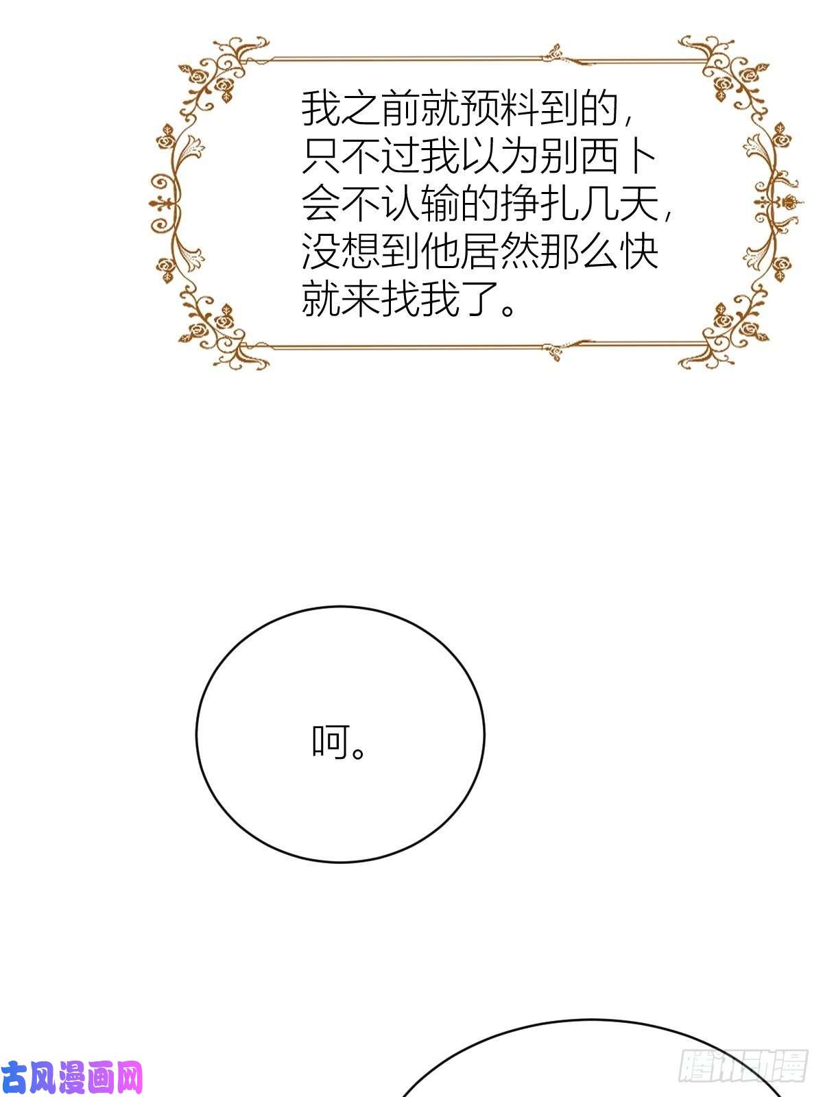 塞壬娜的定制人生11： 守护骑士