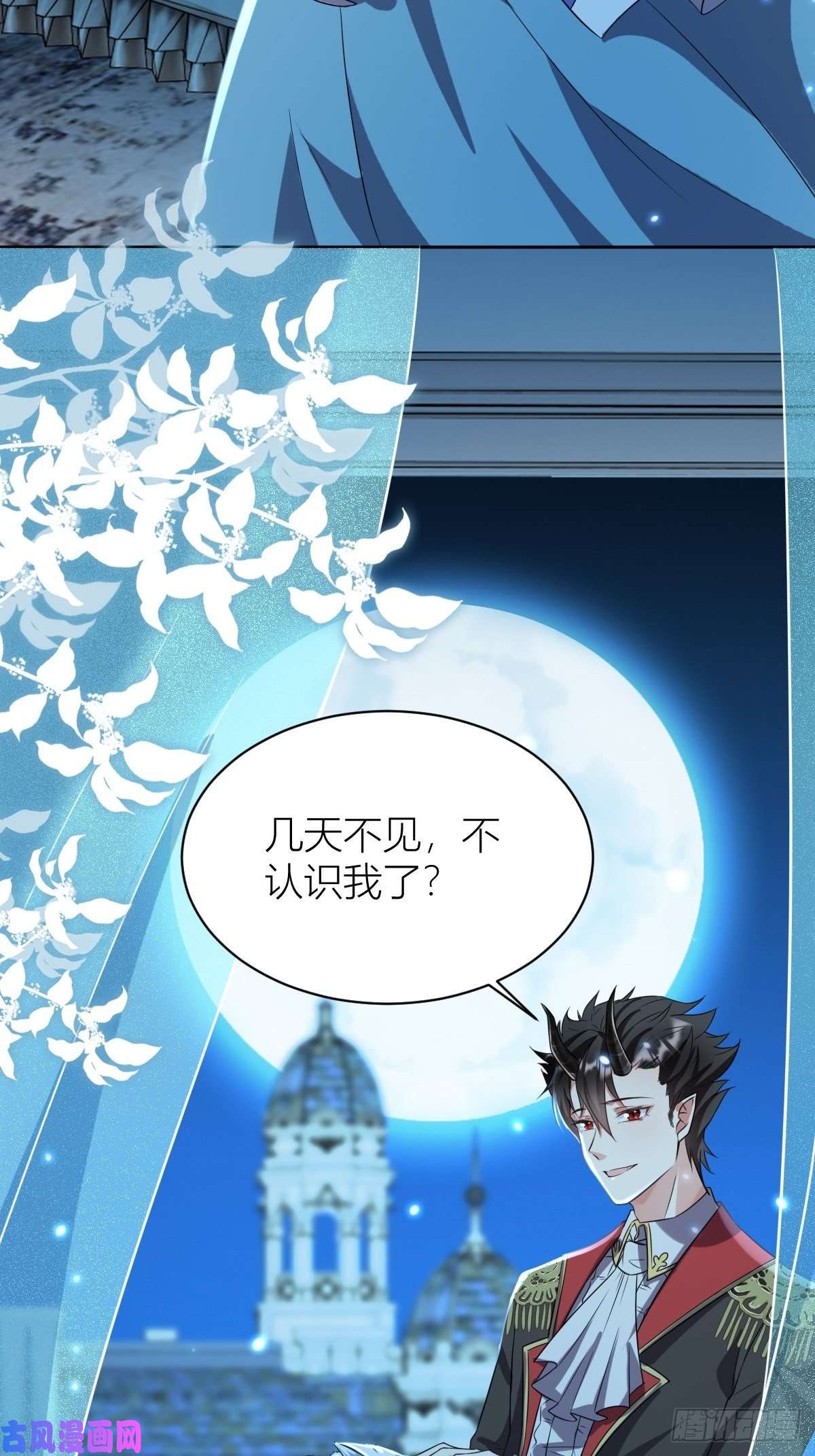 塞壬娜的定制人生11： 守护骑士