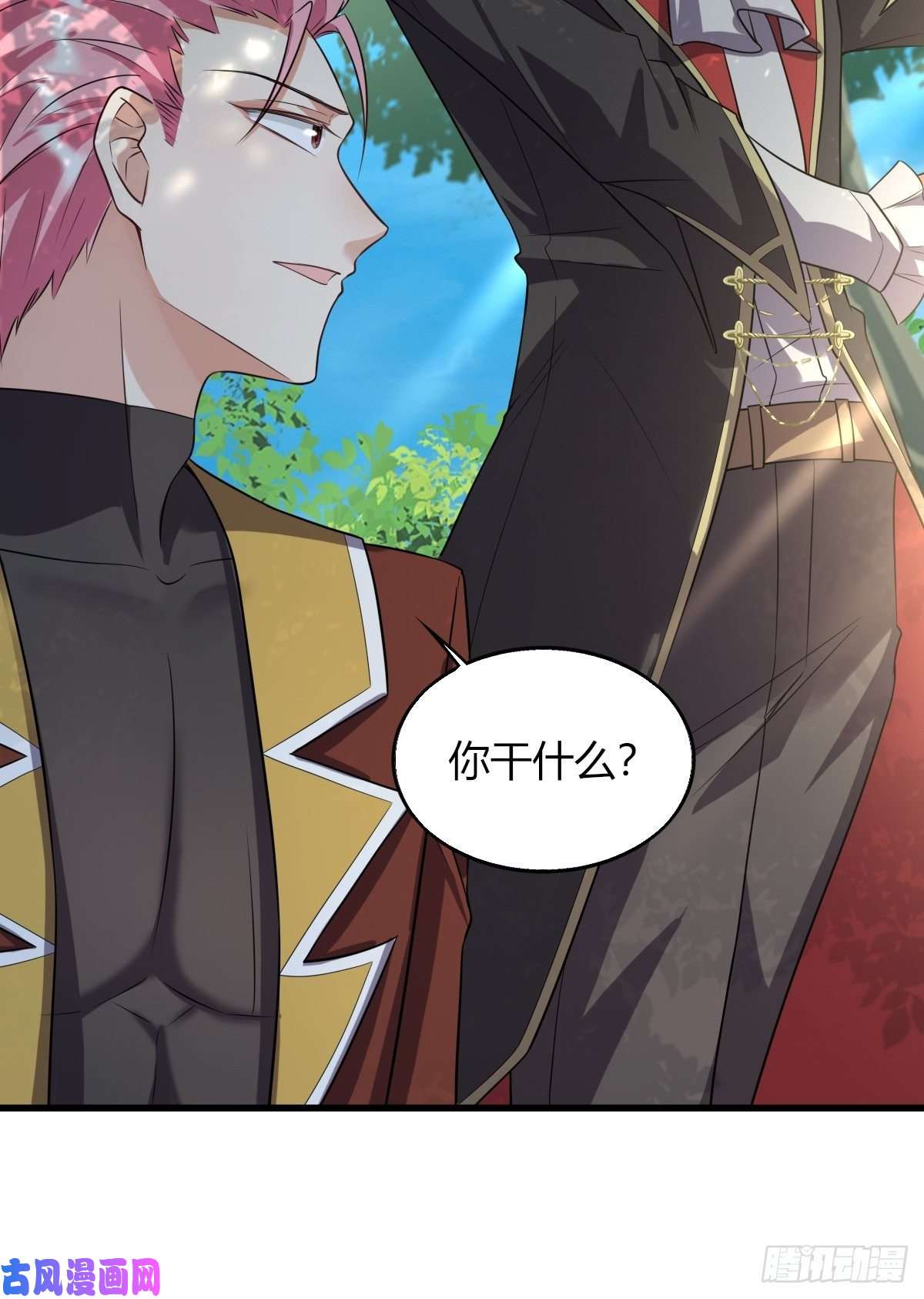 塞壬娜的定制人生15：独站狼群