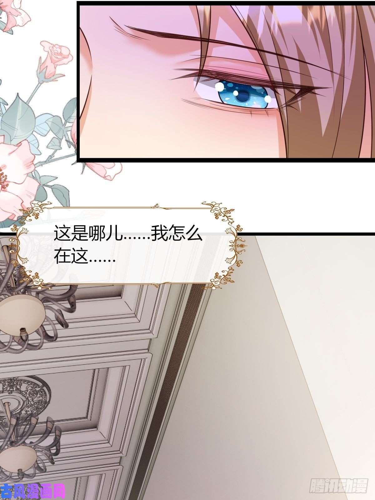 塞壬娜的定制人生19：再次翻车