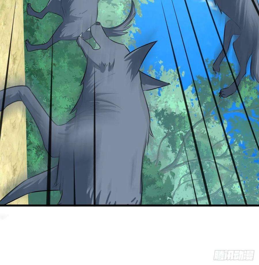 塞壬娜的定制人生15：独战狼群