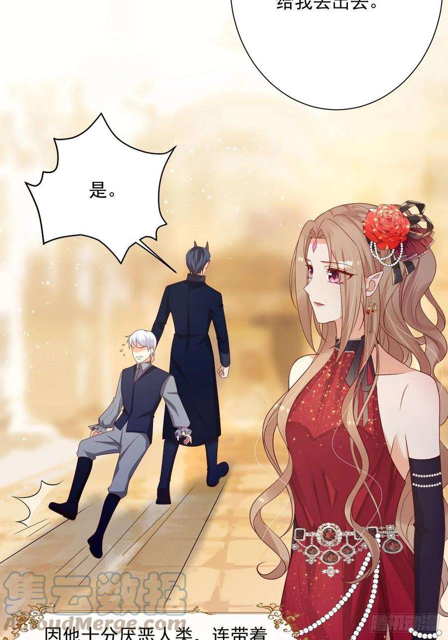 塞壬娜的定制人生38 魔女的话忆
