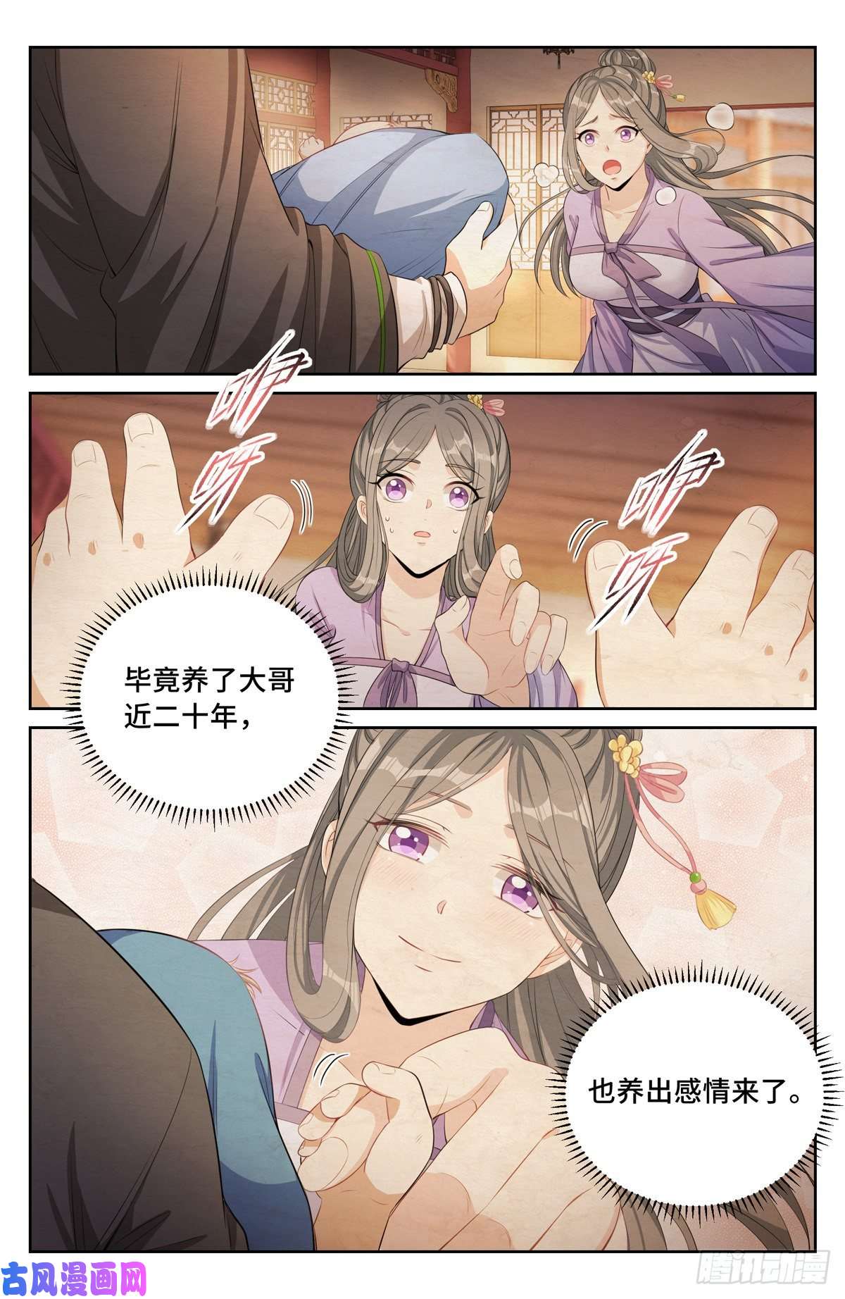 大奉打更人046婶婶的心意