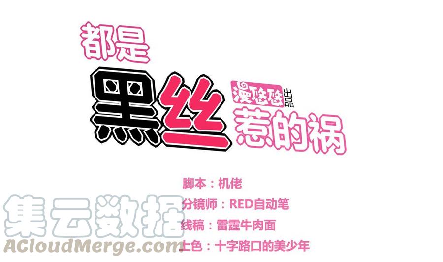 都是黑丝惹的祸15话 谁是金龟子