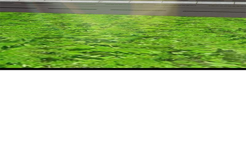 都是黑丝惹的祸二季 第318话 新的对手？