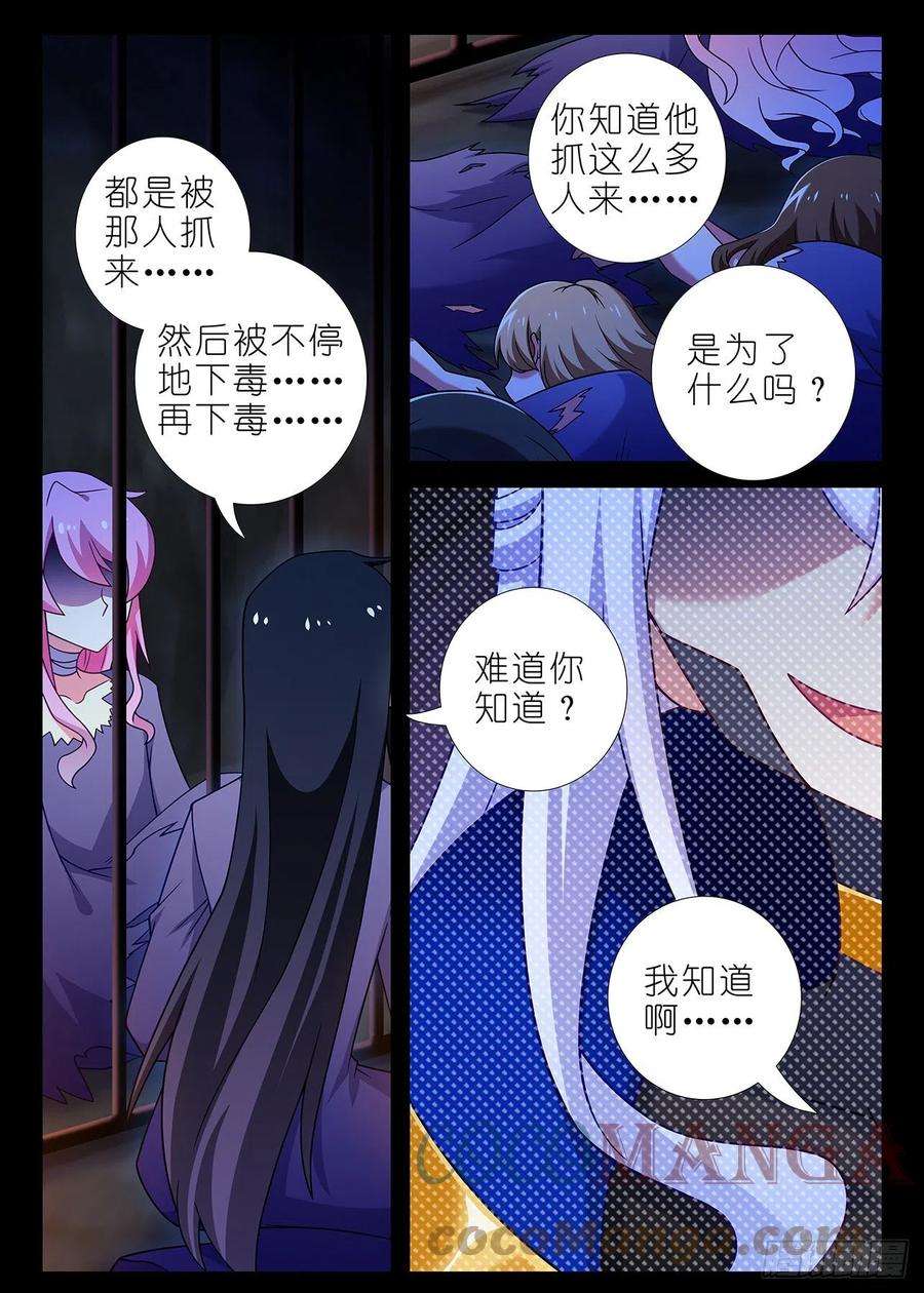 我不是教主二百四十二夜