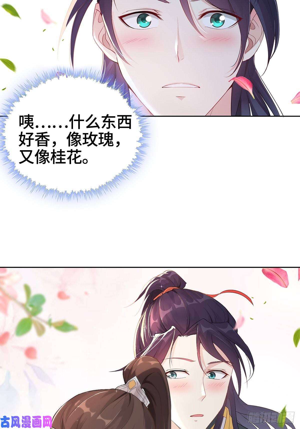 被迫成为反派赘婿纳兰城的软饭王