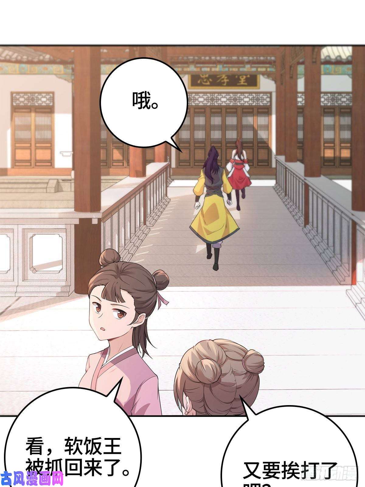 被迫成为反派赘婿纳兰城的软饭王