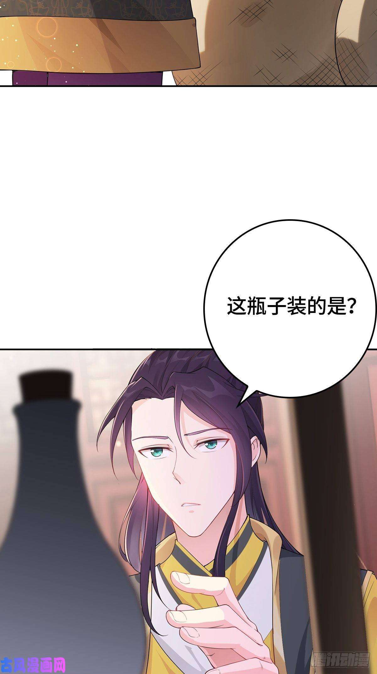被迫成为反派赘婿天下第一侠盗
