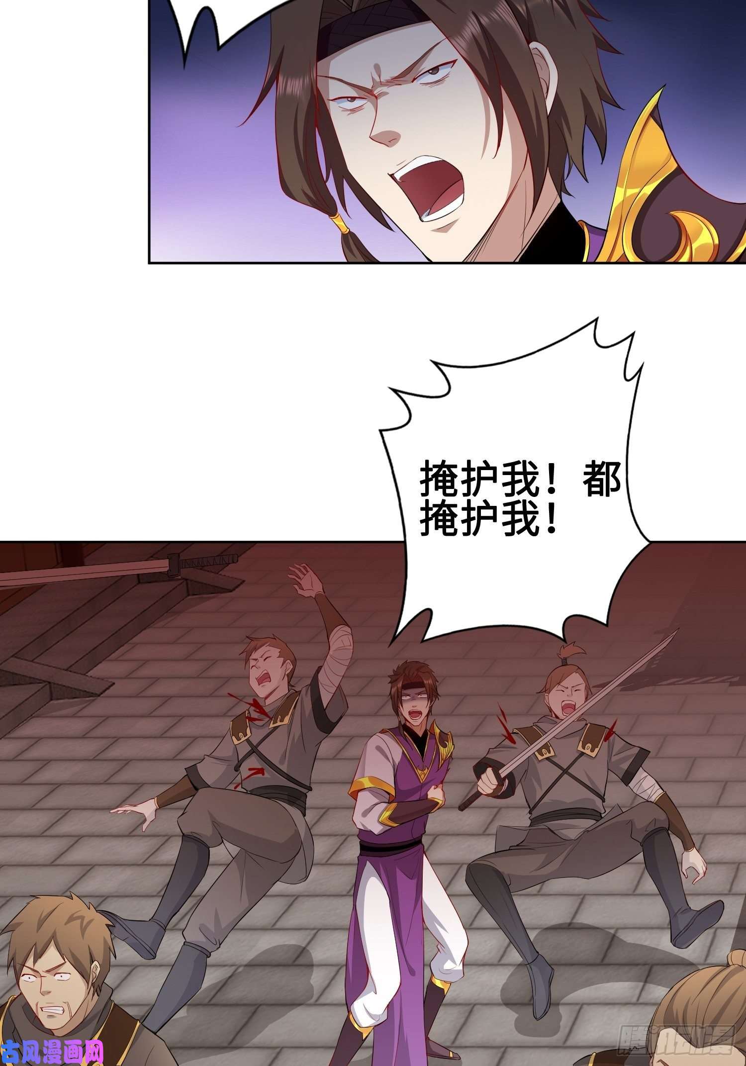 被迫成为反派赘婿纳兰城的刺客