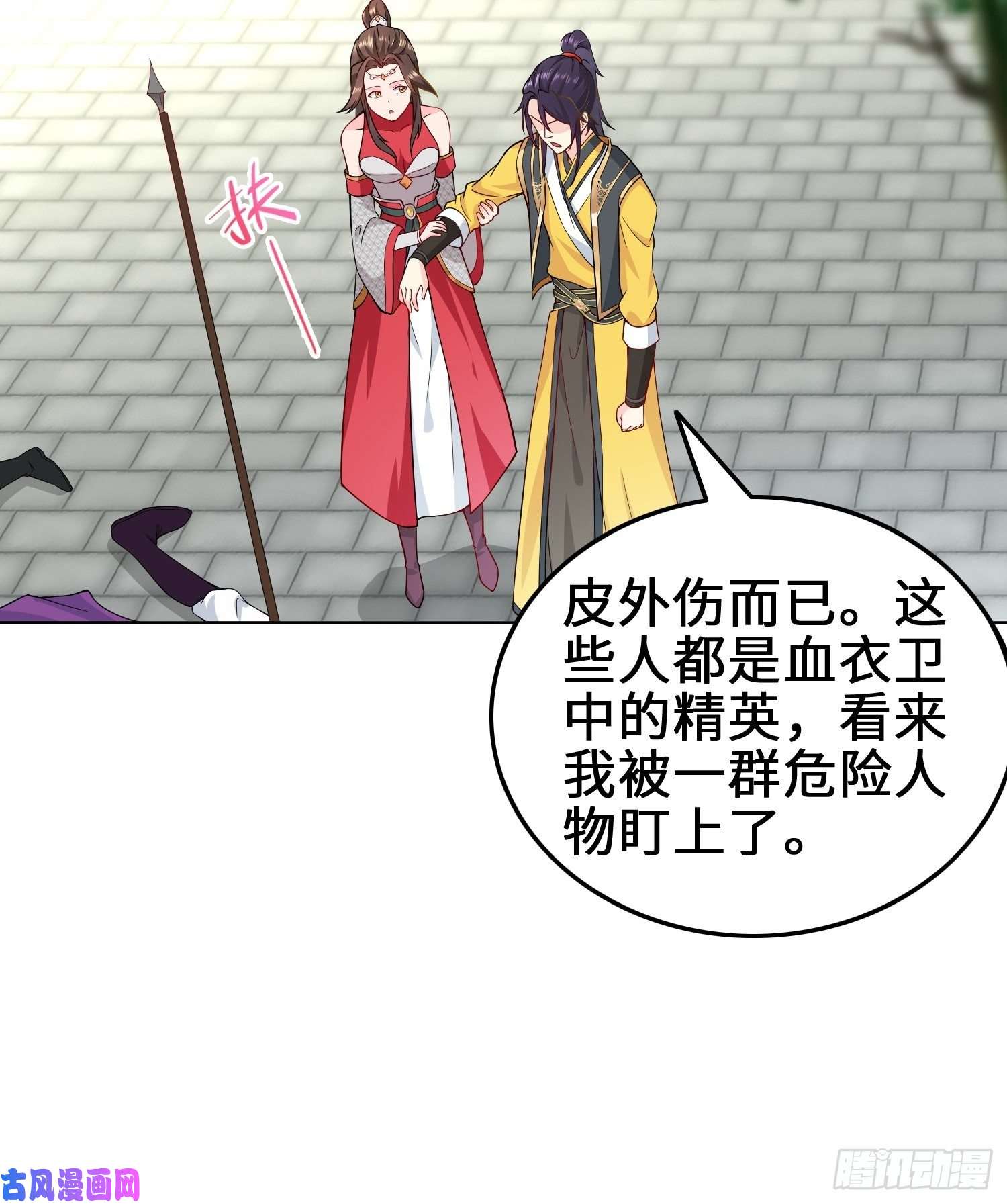 被迫成为反派赘婿纳兰城的刺客
