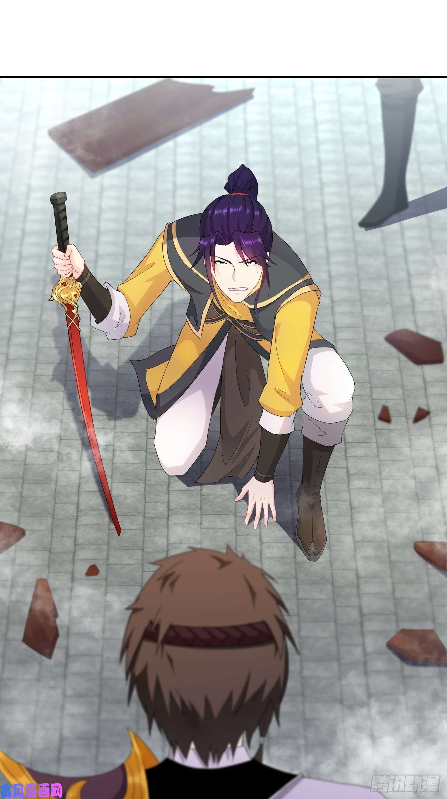 被迫成为反派赘婿纳兰城的刺客