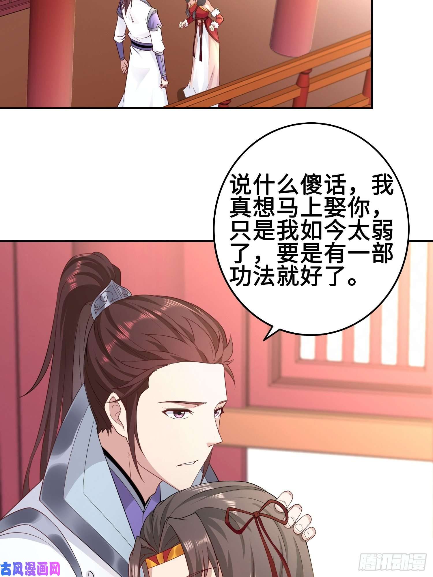 被迫成为反派赘婿纳兰城的刺客