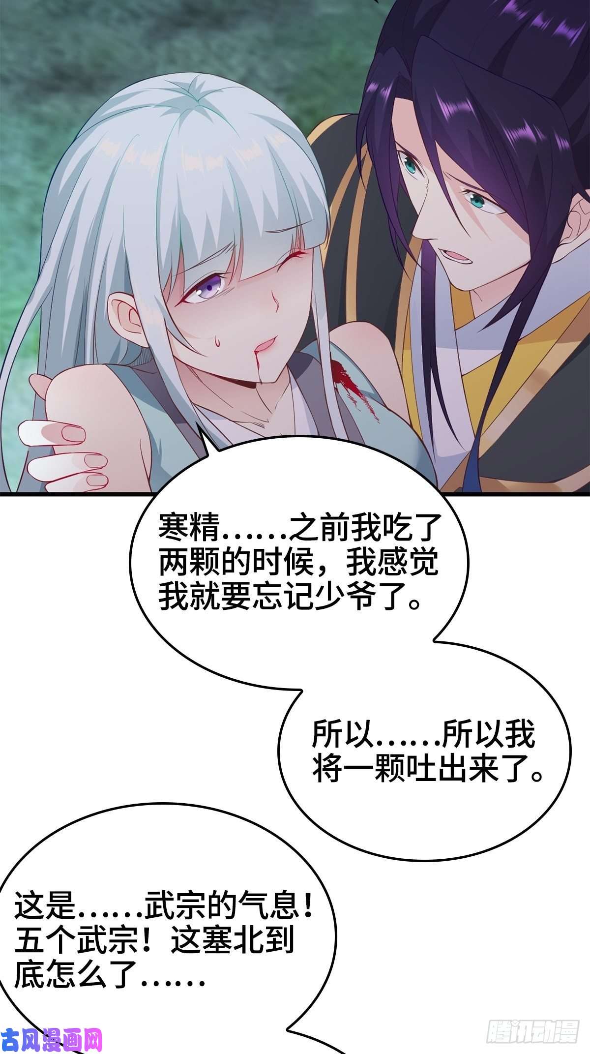 被迫成为反派赘婿武宗压境