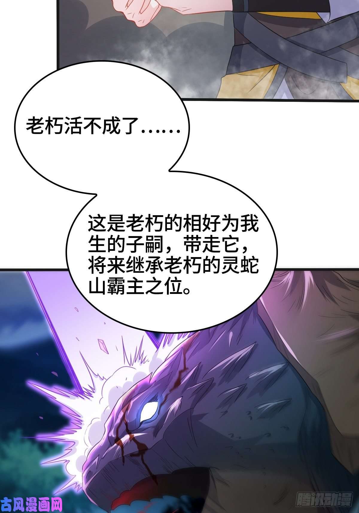 被迫成为反派赘婿龙王龟的意志