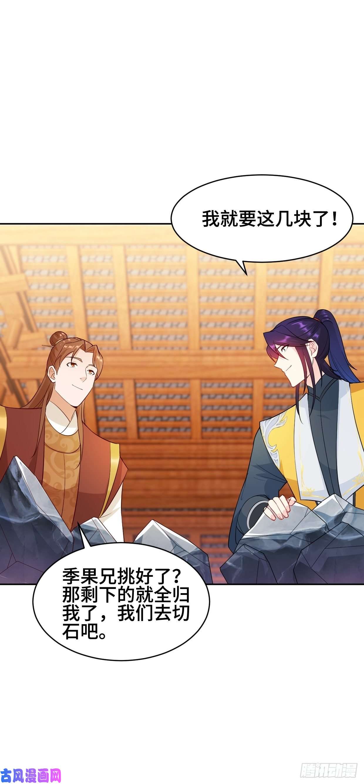 被迫成为反派赘婿江都赌石王