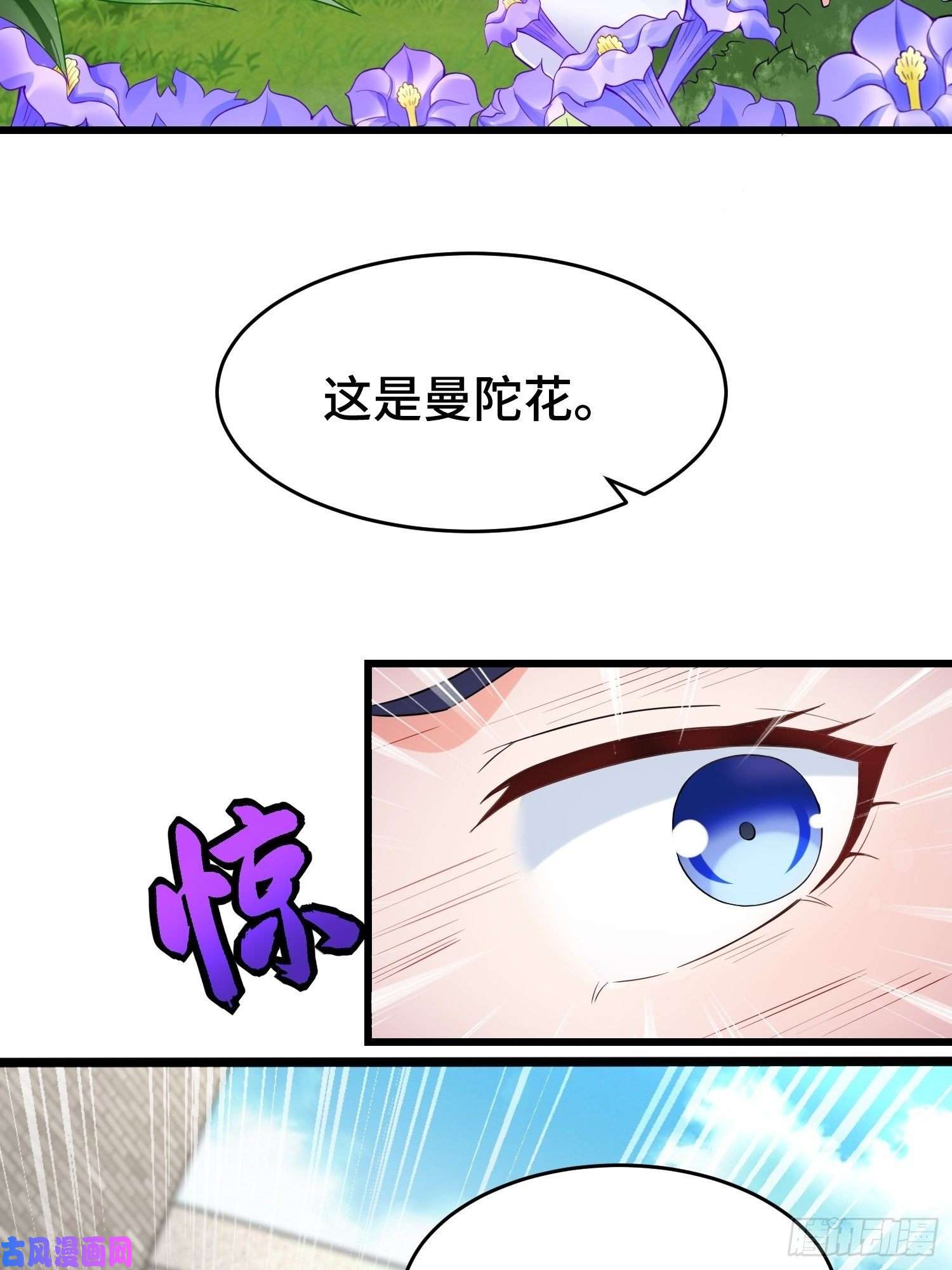被迫成为反派赘婿月尘遇难