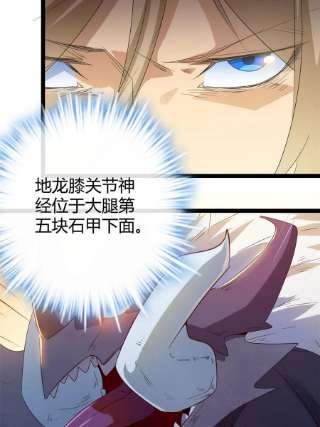 我的影子会挂机143 团队合作
