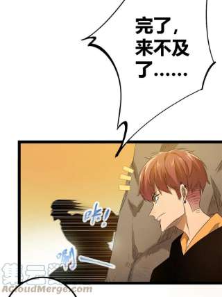 我的影子会挂机143 团队合作