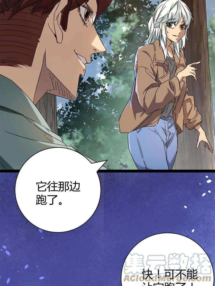 我的影子会挂机168 扰乱人心