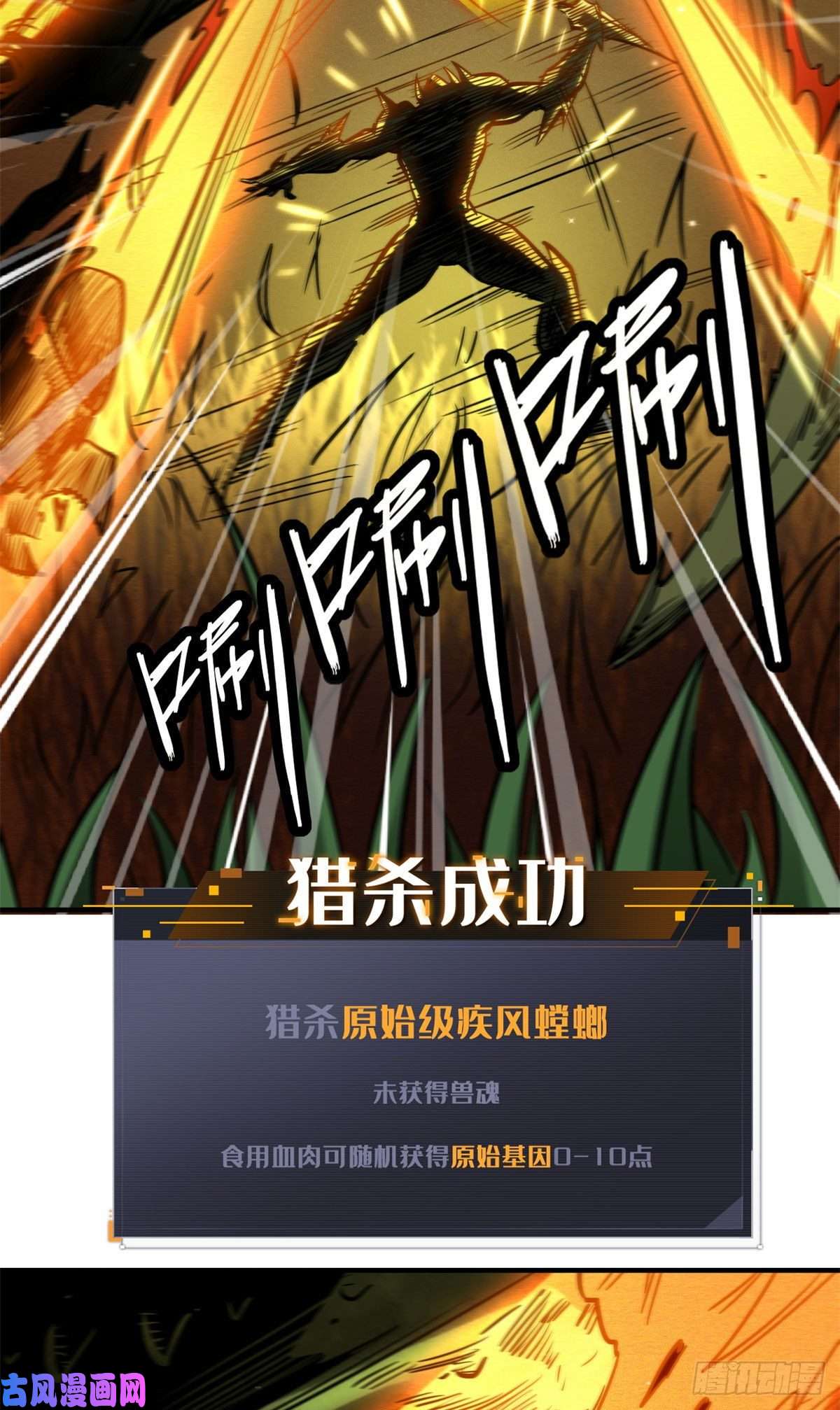 超级神基因03 币哥