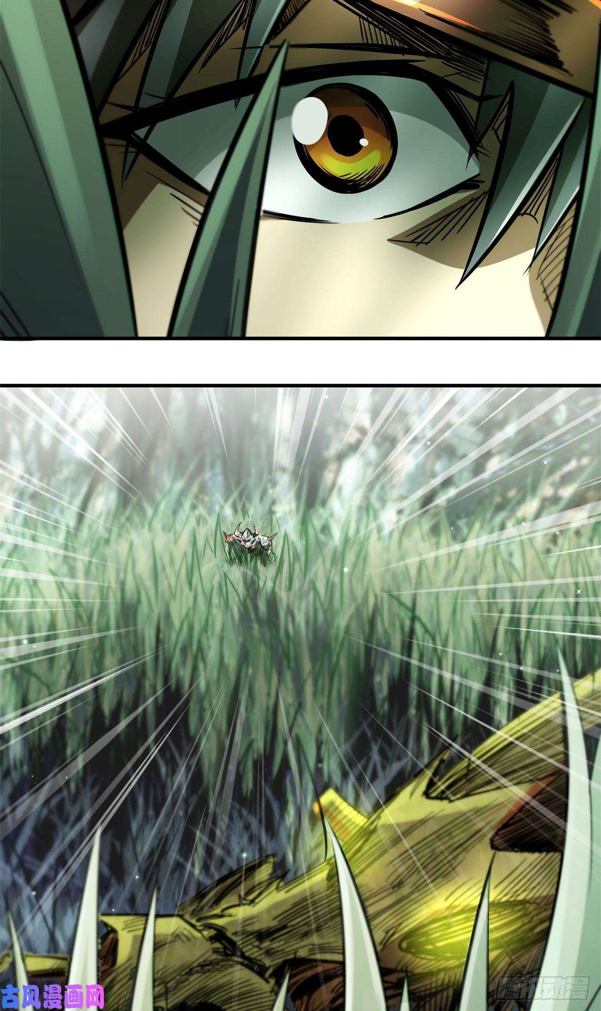 超级神基因03 币哥