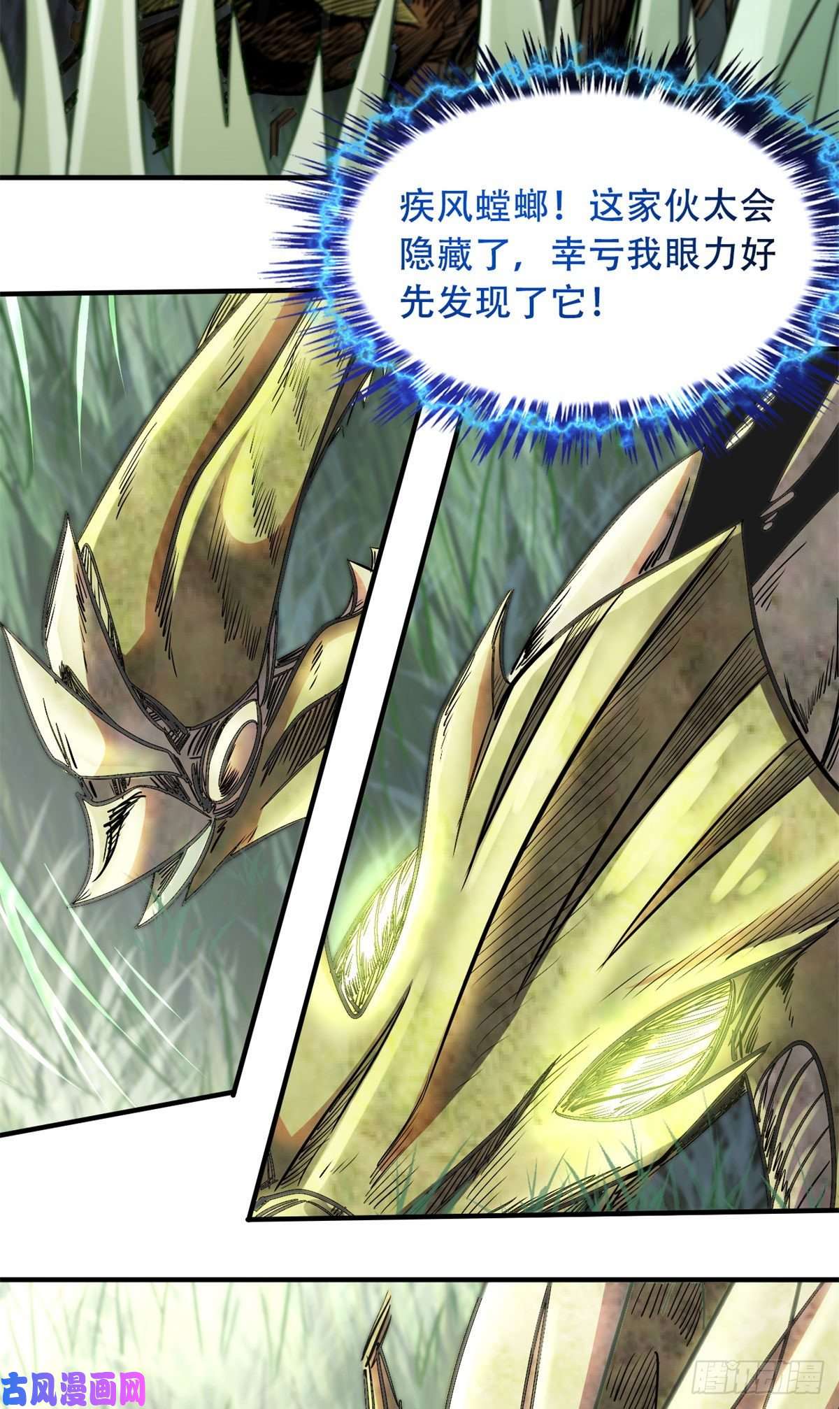 超级神基因03 币哥