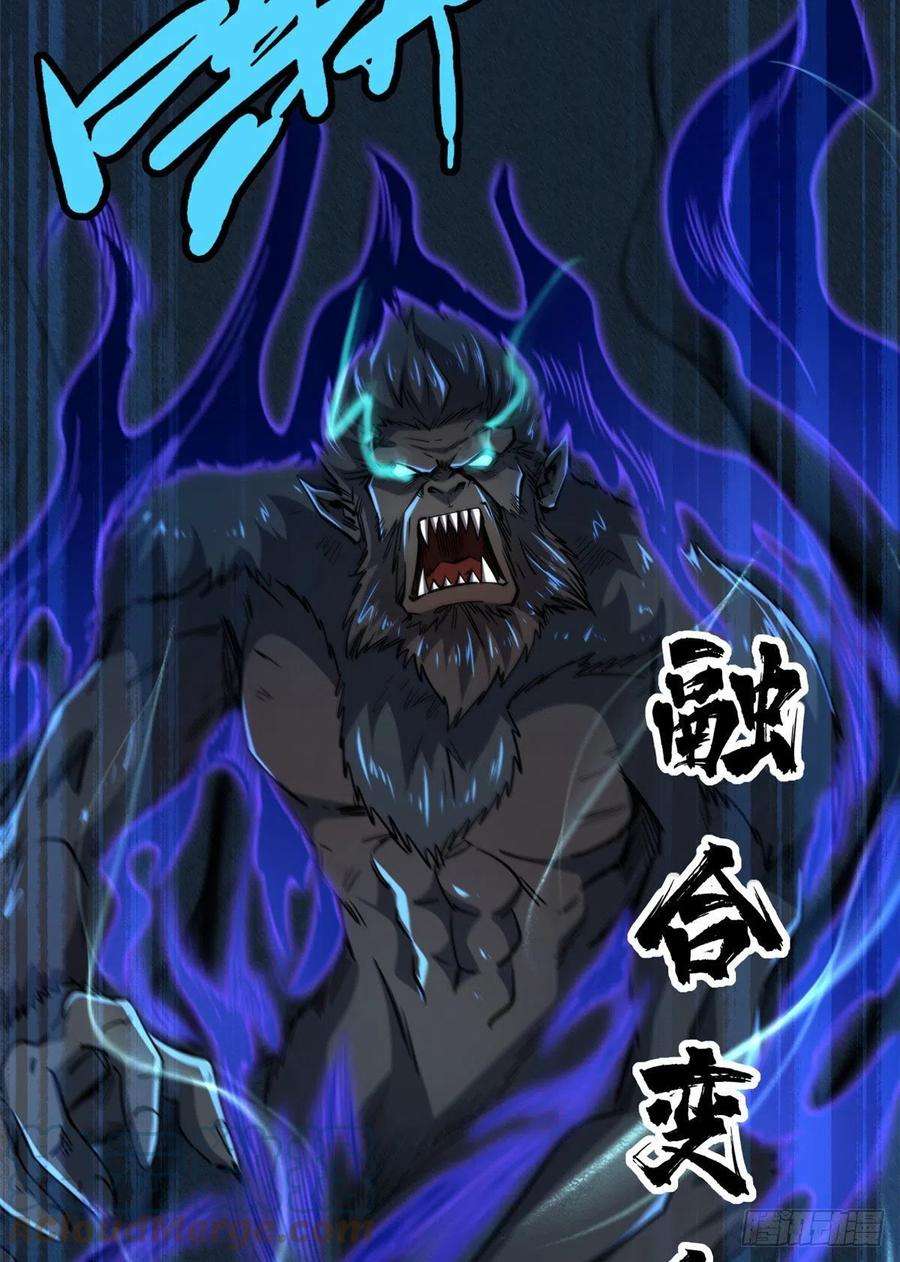 超级神基因43 首秀