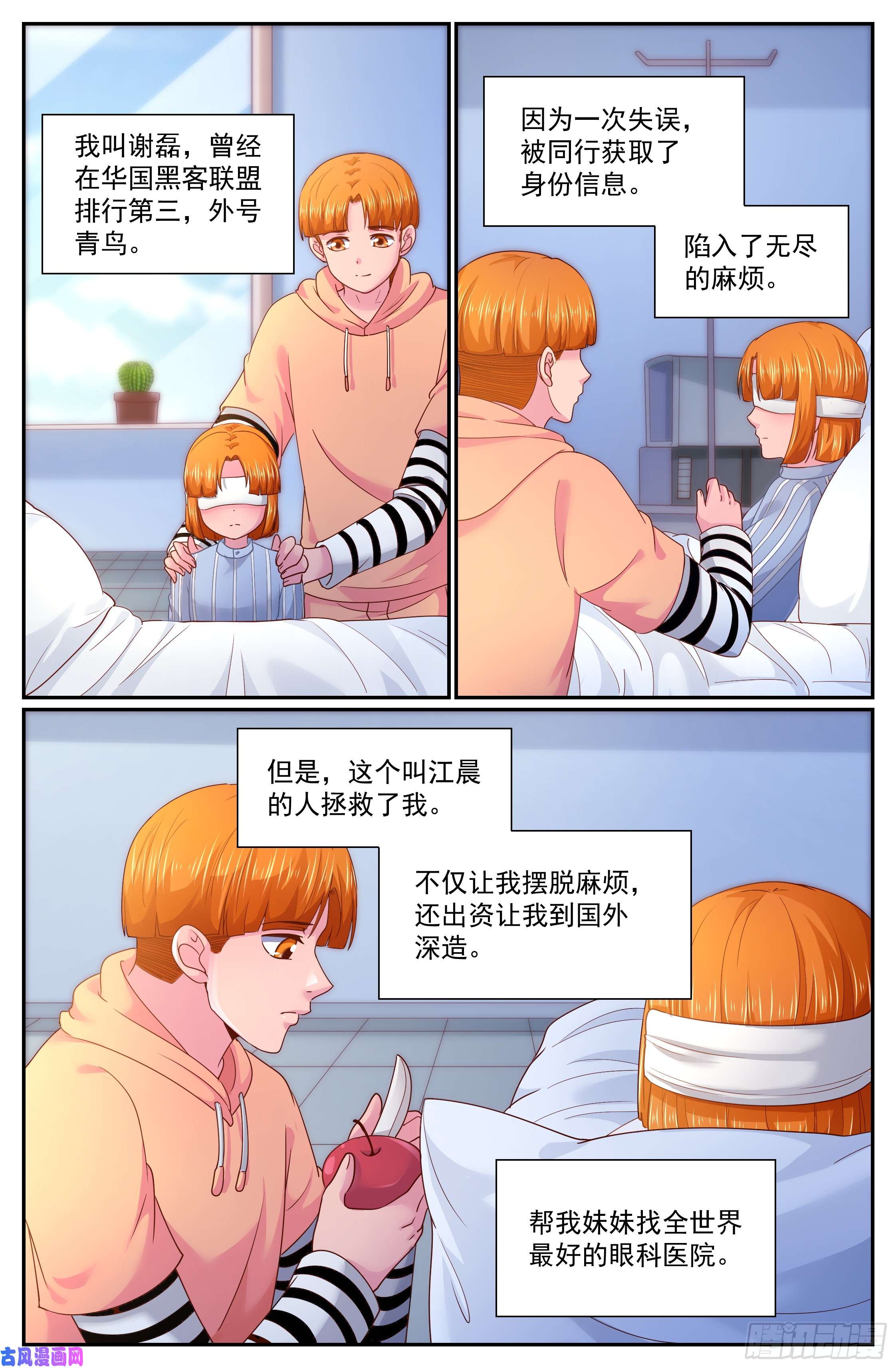 我在末世有套房265 间谍