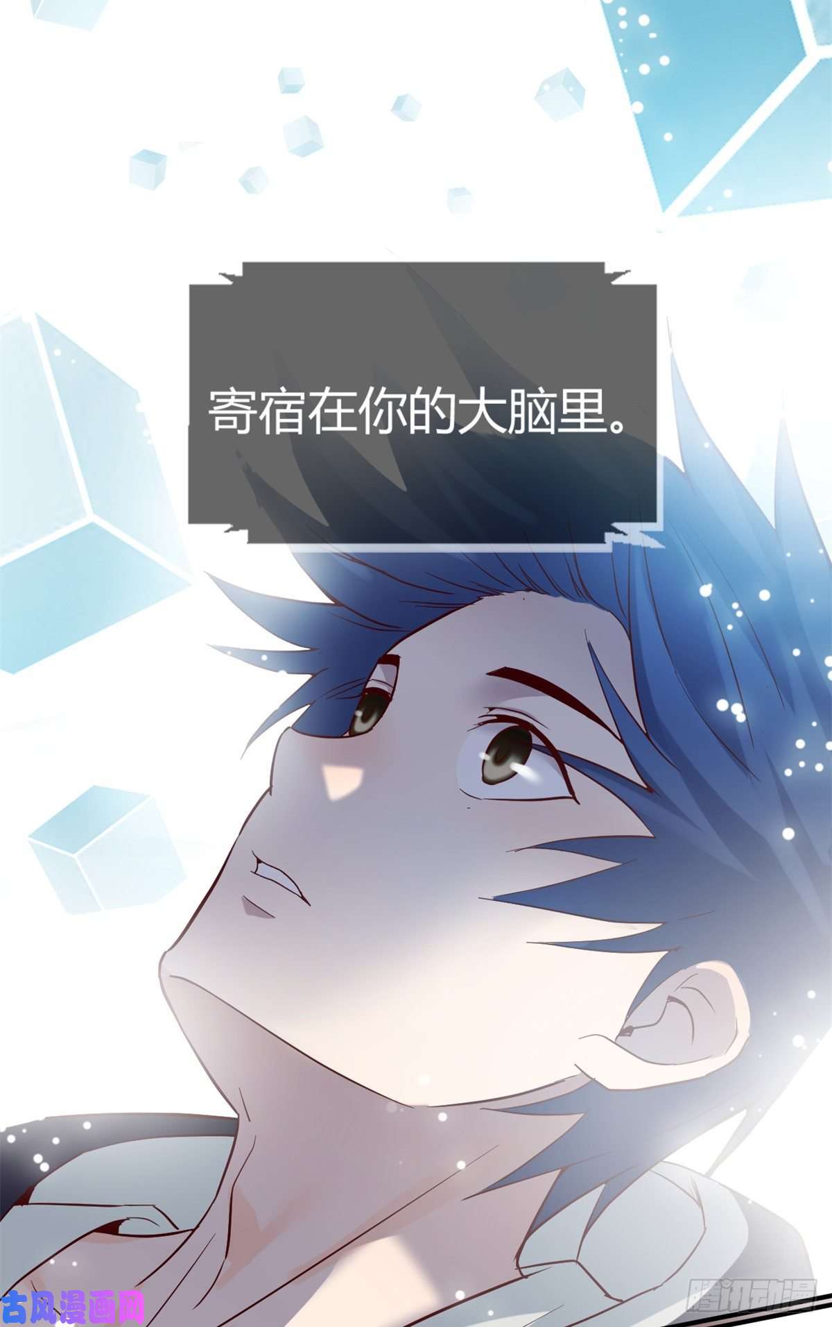 我的姐姐是大明星10