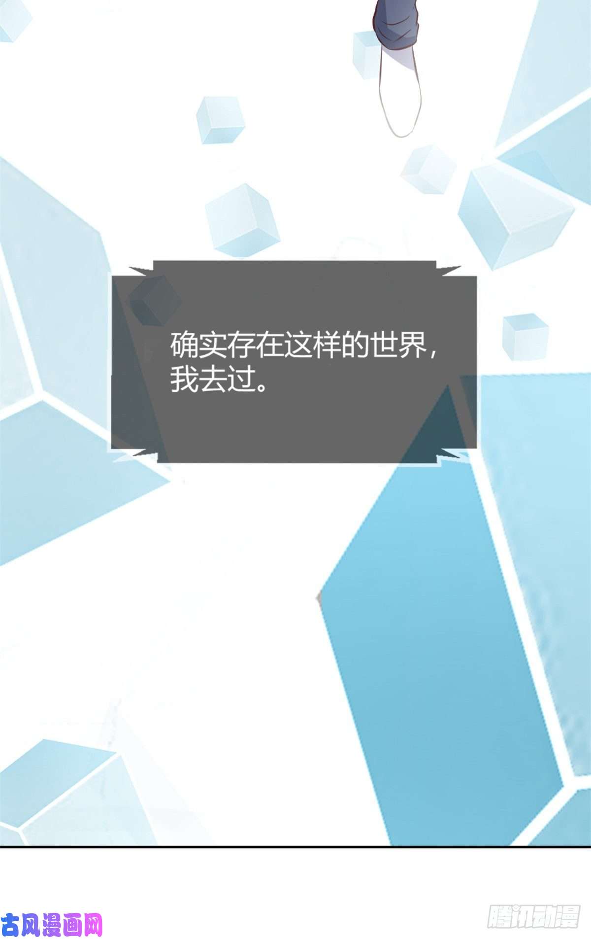 我的姐姐是大明星13