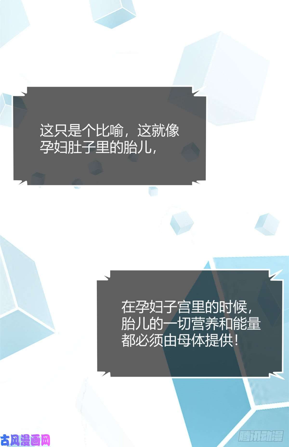 我的姐姐是大明星27
