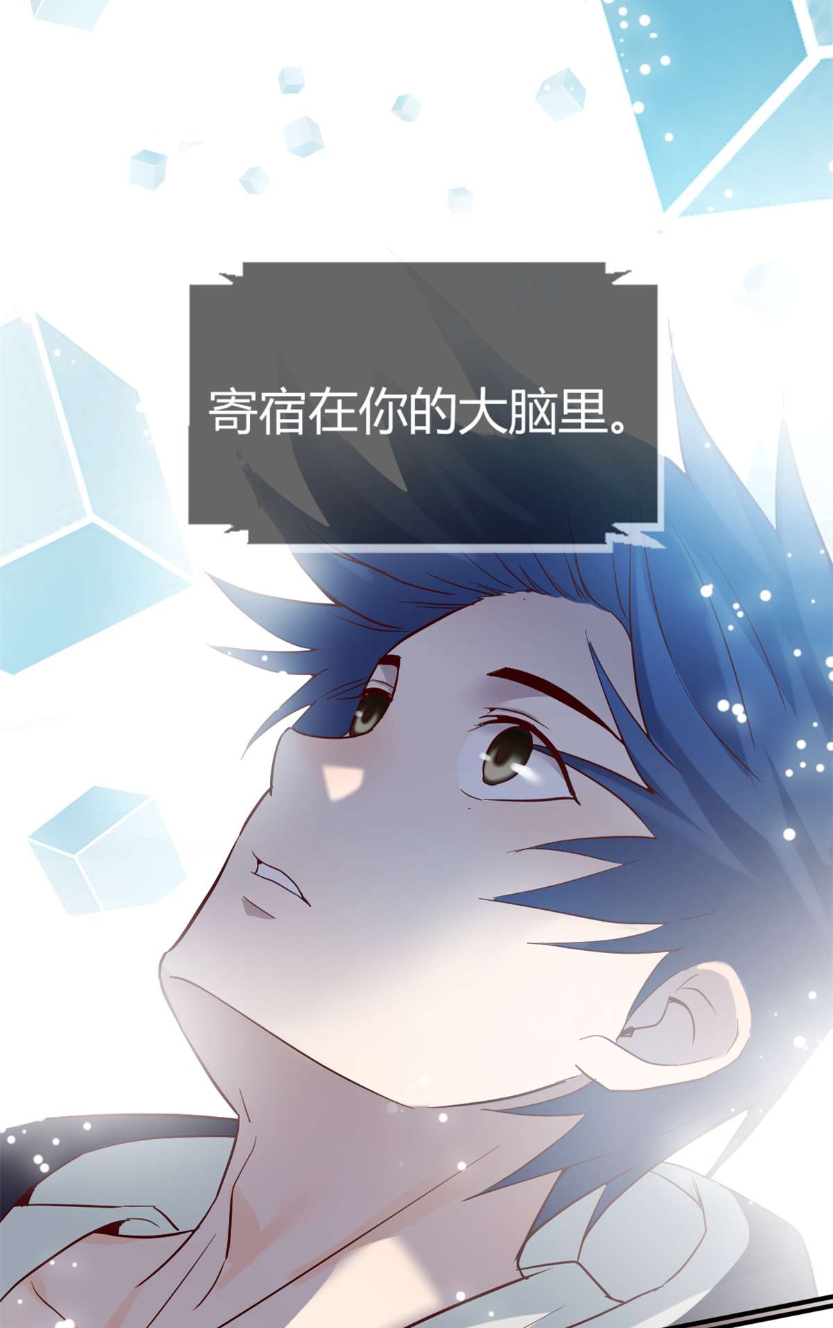 我的姐姐是大明星10 10