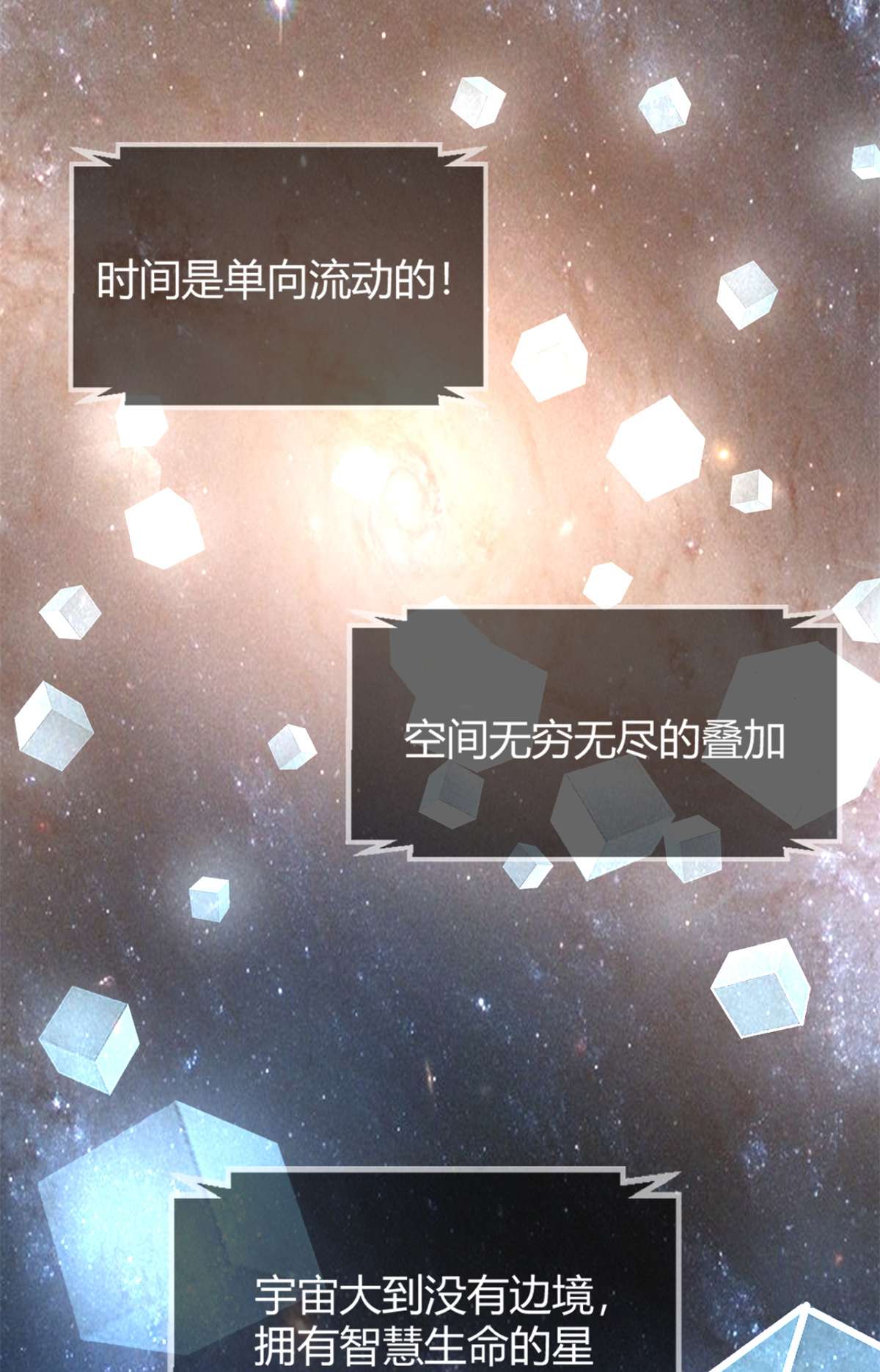 我的姐姐是大明星13 13